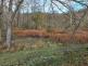 tragická událost