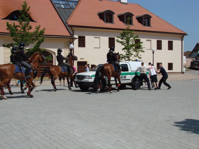 ukázka Štiřín