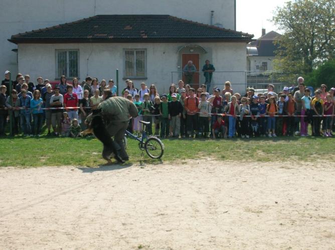 ukázka kynologů