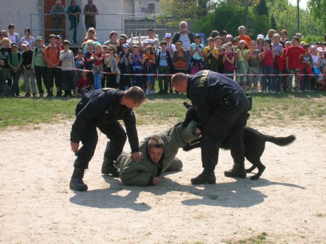 ukázka kynologů