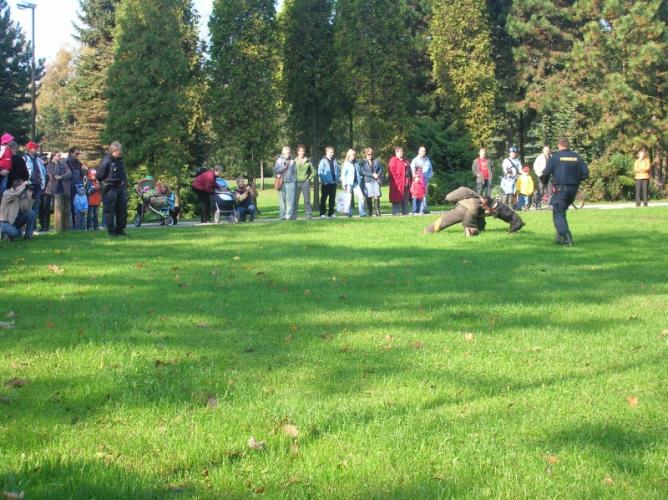 ukázka psovodů