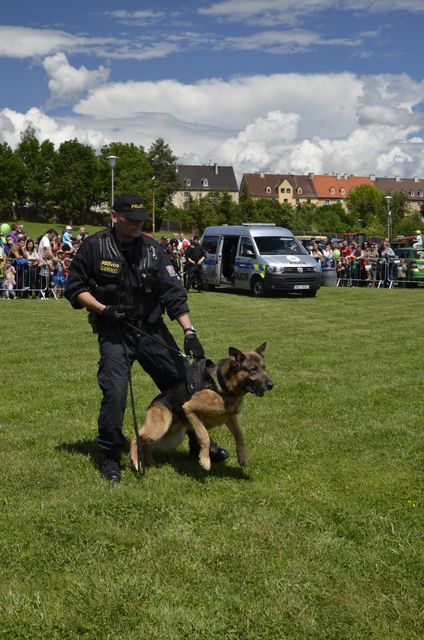 ukázka zadržení pachatele služebním psem 
