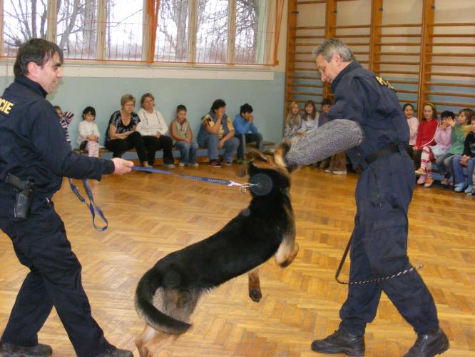 ukázky práce kynologů  na IV.ZŠ v JH.jpg