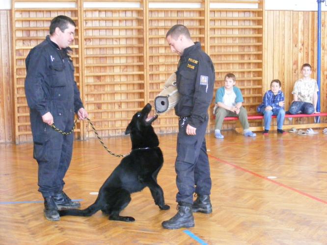 ukázky práce kynologů  na V.ZŠ v JH.jpg