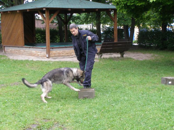 ve školce