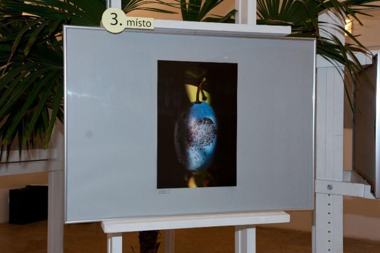 vernisáž 16