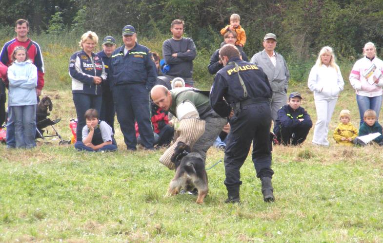 výcvik služebních psů