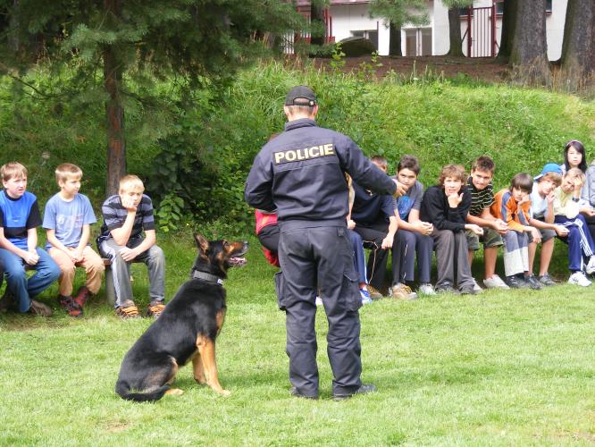 výcvik služebního psa
