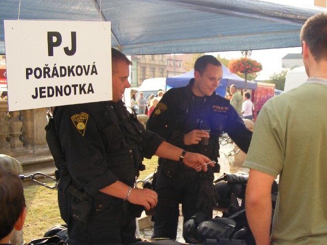 výstroj pořádkové jednotky