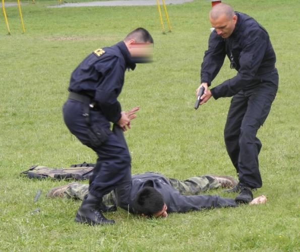 zadržení pachatele