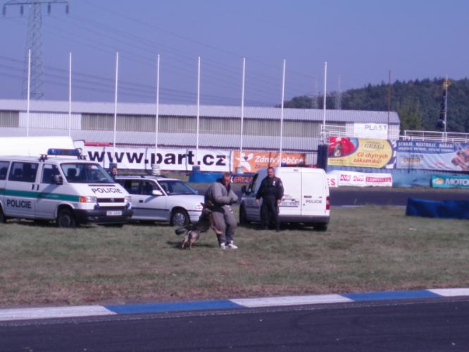 zadržení pachatele 