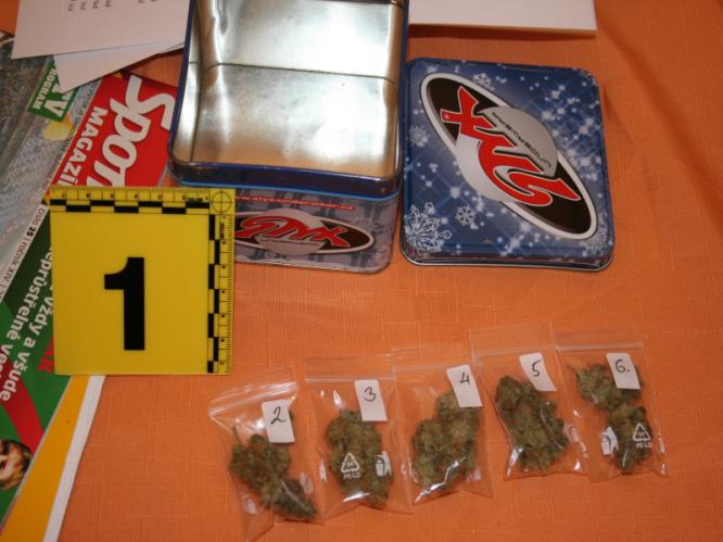 zajištěná marihuana