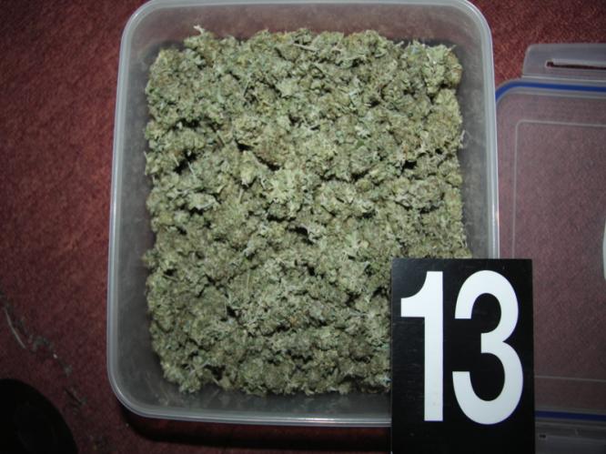 zajištěná marihuana