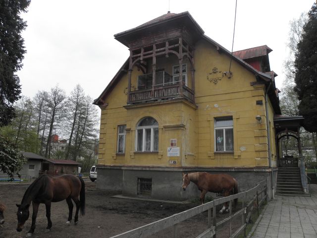 zázemí u DDM   St. Role 3