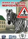 zebra_se_za_tebe_nerozhledn.jpg