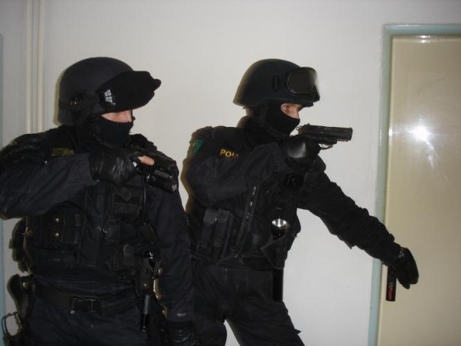 zona7.jpg