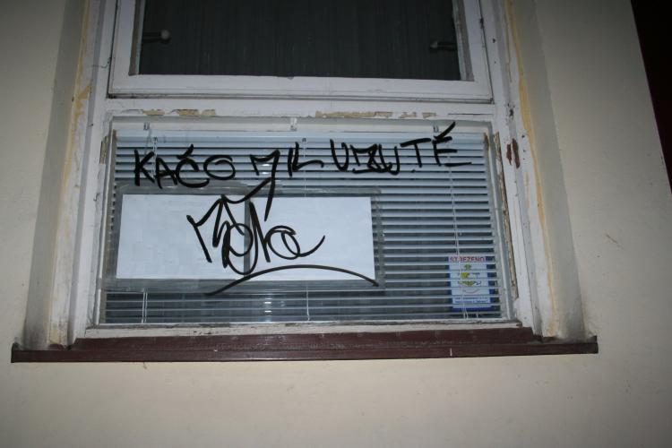 foto 77.JPG 