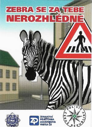 zebra_se_za_tebe_nerozhledne.jpg 