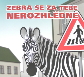 Zebra na plakátu.jpg 