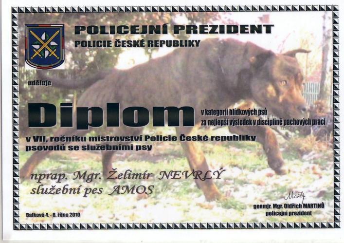 diplom 2a.jpg