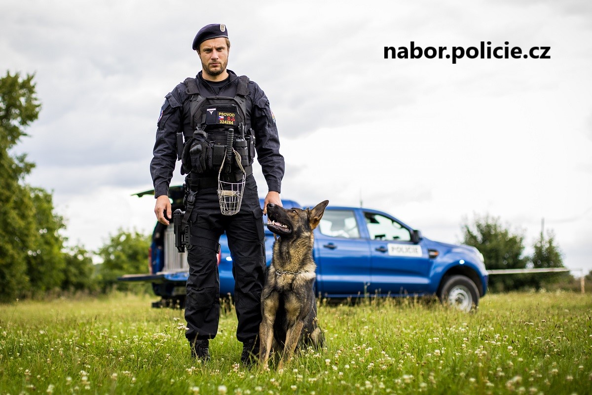 9 9-foto.jpg